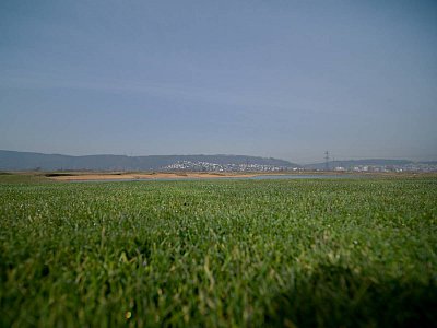 p2246511.jpg